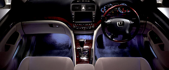 �u���[�C���~�l�[�V����