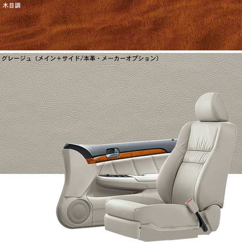 �C���e���A���V�[�g�J���[�@�O���[�W��