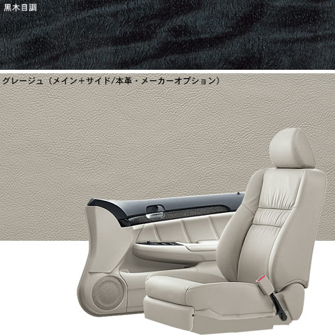 �C���e���A���V�[�g�J���[�@�O���[�W��