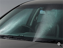 �g�U���E�H�b�V���[�m�Y��