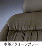 �{�v�^�N�H�[�c�O���[