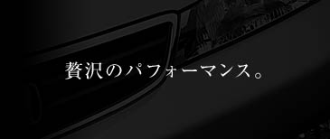 �ґ�̃p�t�H�[�}���X�B