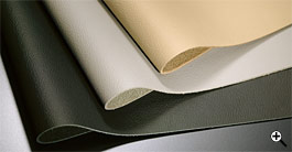 ���U�[�C���e���A