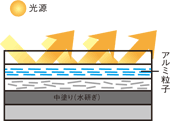 �X�[�p�[�v���`�i�h���f�ʃC���[�W