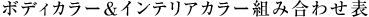 �{�f�B�J���[���C���e���A�J���[�g�ݍ��킹�\