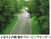 �ӂ邳�Ƃ̐X�i�Ȗ؃v���[�r���O�Z���^�[�j