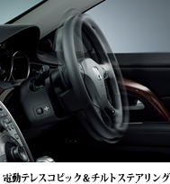 �d���e���X�R�s�b�N���`���g�X�e�A�����O