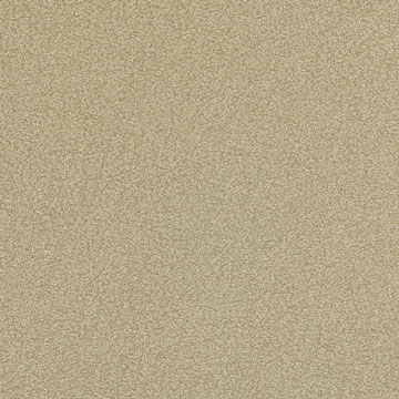 D�^�C�v �x�[�W���C���e���A�@�V�[�g�n