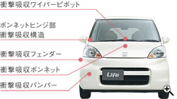 �{�f�B�O��