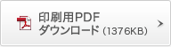 ����pPDF�_�E�����[�h�i1376KB�j