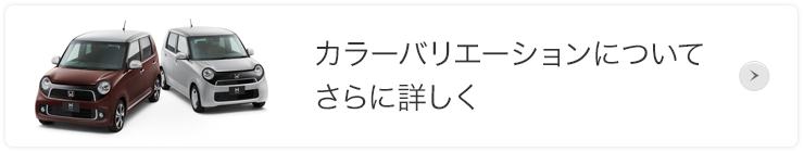 �J���[�o���G�[�V�����ɂ��Ă���ɏڂ���