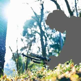 N-VAN FUN STYLE＋ NATURE イメージ写真