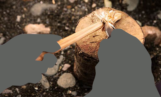 N-VAN FUN STYLE＋ NATURE イメージ写真