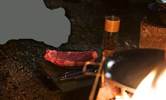 N-VAN FUN STYLE＋ NATURE イメージ写真