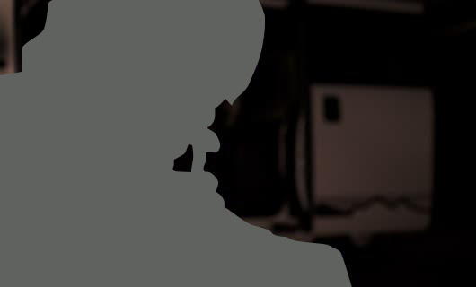 N-VAN FUN STYLE＋ NATURE イメージ写真