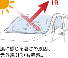 ���Ɋ����鏋���̌����A�ԊO���iIR�j���y���B