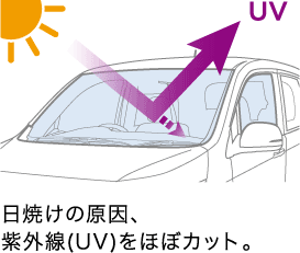 ���Ă��̌����A���O��(UV)���قڃJ�b�g�B