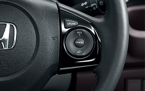 �s�A�m�u���b�N���K�[�j�b�V���t�{�v���X�e�A�����O�z�C�[��