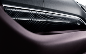 �C���p�l�K�[�j�b�V��