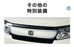 ���̑��̓��ʑ���