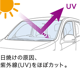 ���Ă��̌����A���O��(UV)���قڃJ�b�g�B