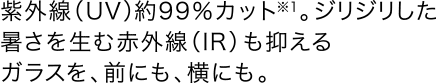 ���O���iUV�j��99���J�b�g��1�B�W���W�����������𐶂ސԊO���iIR�j���}����K���X���A�O�ɂ��A���ɂ��B