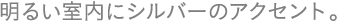 ���邢�����ɃV���o�[�̃A�N�Z���g�B