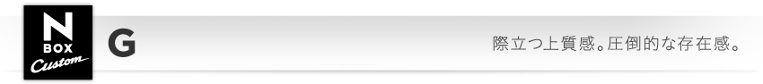 N BOX Custom G�@�ۗ��㎿���B���|�I�ȑ��݊��B