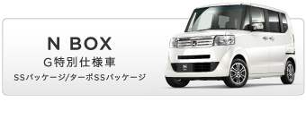 N BOX G���ʎd�l�� SS�p�b�P�[�W/�^�[�{SS�p�b�P�[�W