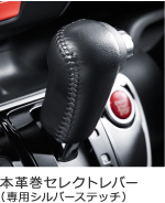 �{�v���Z���N�g���o�[�i��p�V���o�[�X�e�b�`�j