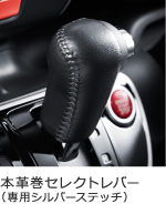 �{�v���Z���N�g���o�[�i��p�V���o�[�X�e�b�`�j