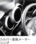 �V���o�[�h�����[�^�[�����O