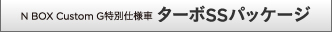 N BOX Custom G���ʎd�l�� �^�[�{SS�p�b�P�[�W