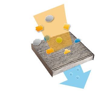 �A�����t���[�����\�E�L�t�B���^�[