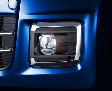 �t�H�O���C�g�K�[�j�b�V��