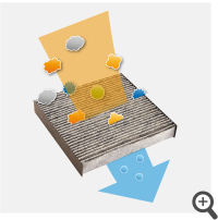 �A�����t���[�����\�E�L�t�B���^�[