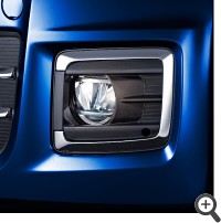 �t�H�O���C�g�K�[�j�b�V��