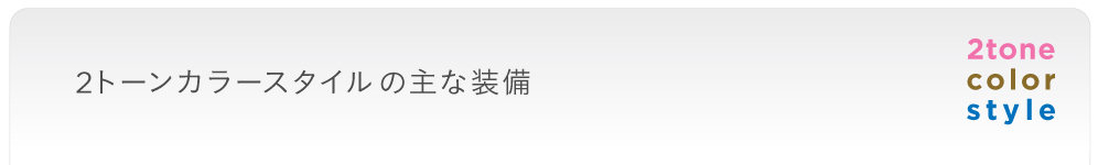 2�g�[���J���[�X�^�C���̎�ȑ���