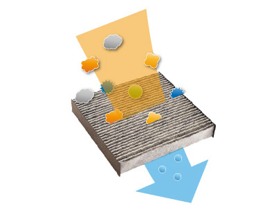 �A�����t���[�����\�E�L�t�B���^�[