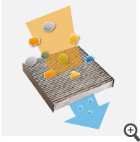 UV�J�b�g�@�\�t�K���X�i�t�����g�E�C���h�E�j ���M���z��/UV�J�b�g�@�\�t�K���X�i�t�����g�R�[�i�[/�t�����g�h�A�j