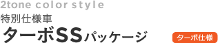 2�g�[���J���[�X�^�C�� ���ʎd�l�� �^�[�{SS�p�b�P�[�W