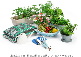 ���̎ʐ^1���ځA3���ڂŎ��[���Ă���A�C�e���ł��B