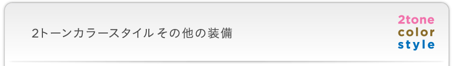 2�g�[���J���[�X�^�C�����̑��̑���