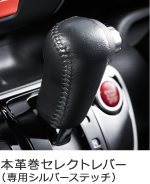 �{�v���Z���N�g���o�[�i��p�V���o�[�X�e�b�`�j