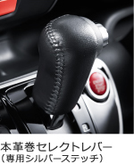 �{�v���Z���N�g���o�[�i��p�V���o�[�X�e�b�`�j