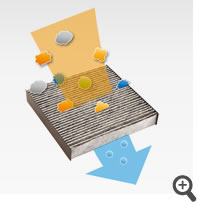 �A�����t���[�����\�E�L�t�B���^�[