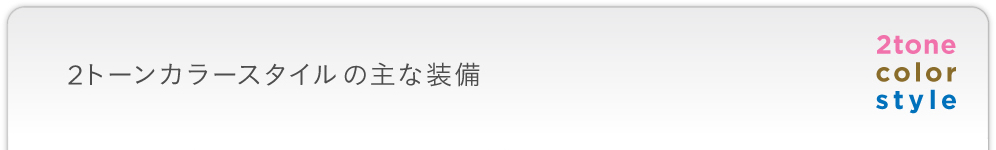 2�g�[���J���[�X�^�C���̎�ȑ���