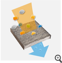 �A�����t���[�����\�E�L�t�B���^�[