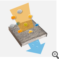 �A�����t���[�����\�E�L�t�B���^�[