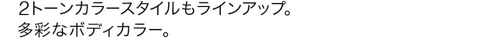 2�g�[���J���[�X�^�C�������C���A�b�v�B���ʂȃ{�f�B�J���[�B
